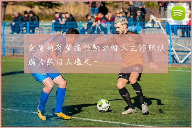 麦肯纳有望接任凯尔特人主帅职位成为热门人选之一