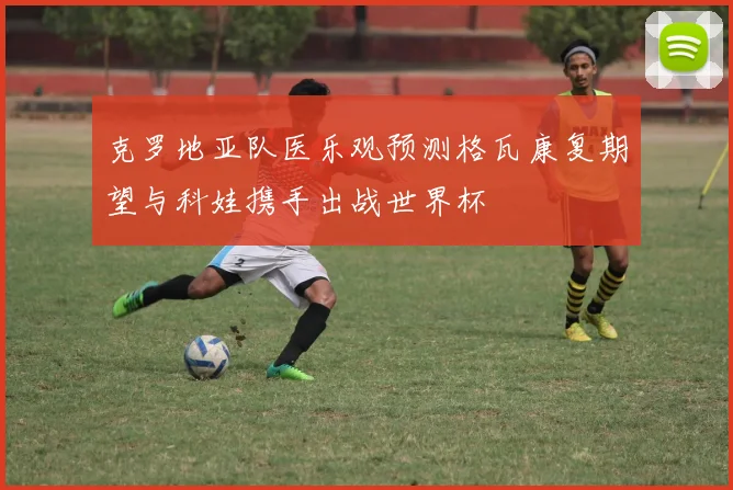 克罗地亚队医乐观预测格瓦康复期望与科娃携手出战世界杯