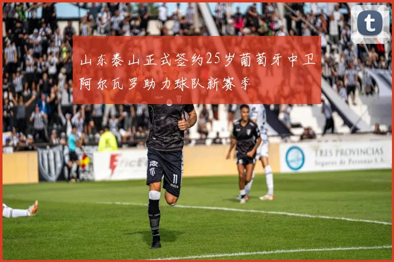 山东泰山正式签约25岁葡萄牙中卫阿尔瓦罗助力球队新赛季
