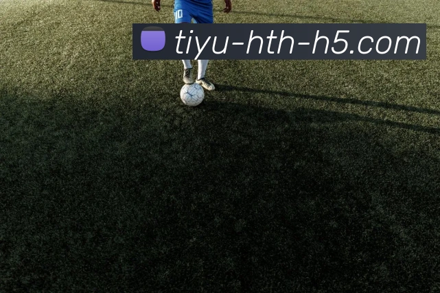 华体会体育品牌故事